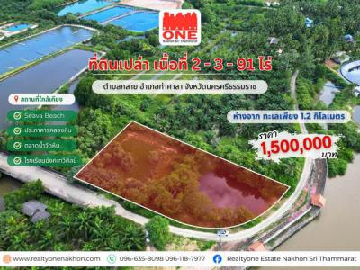 ที่ดิน 1500000 นครศรีธรรมราช ท่าศาลา กลาย