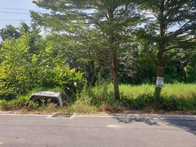 ที่ดิน 1000000 ปทุมธานี ธัญบุรี ลำผักกูด