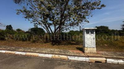 ที่ดิน 1961000 ฉะเชิงเทรา เมืองฉะเชิงเทรา คลองหลวงแพ่ง