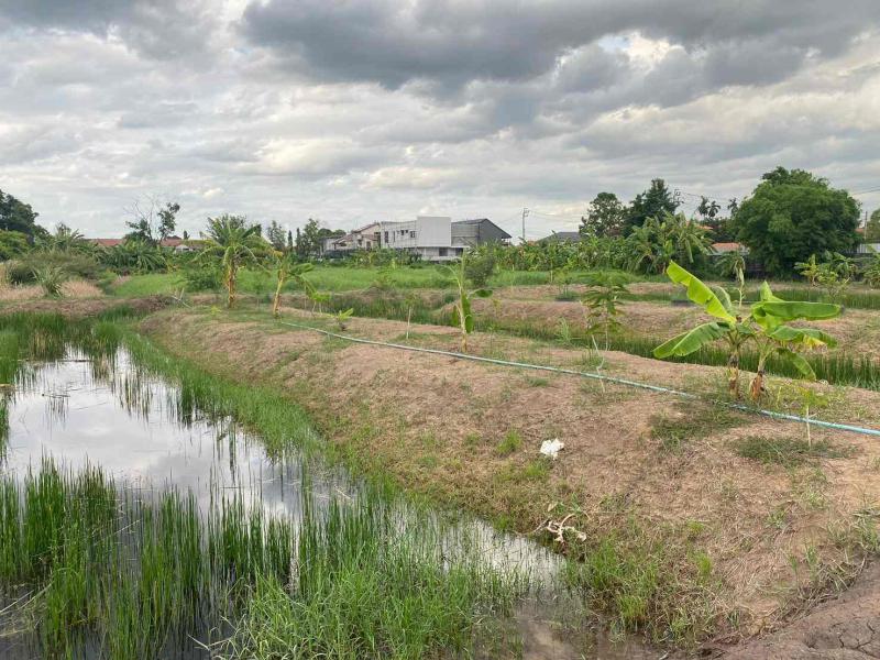 ที่ดิน 55875000 กรุงเทพมหานคร เขตดอนเมือง สีกัน