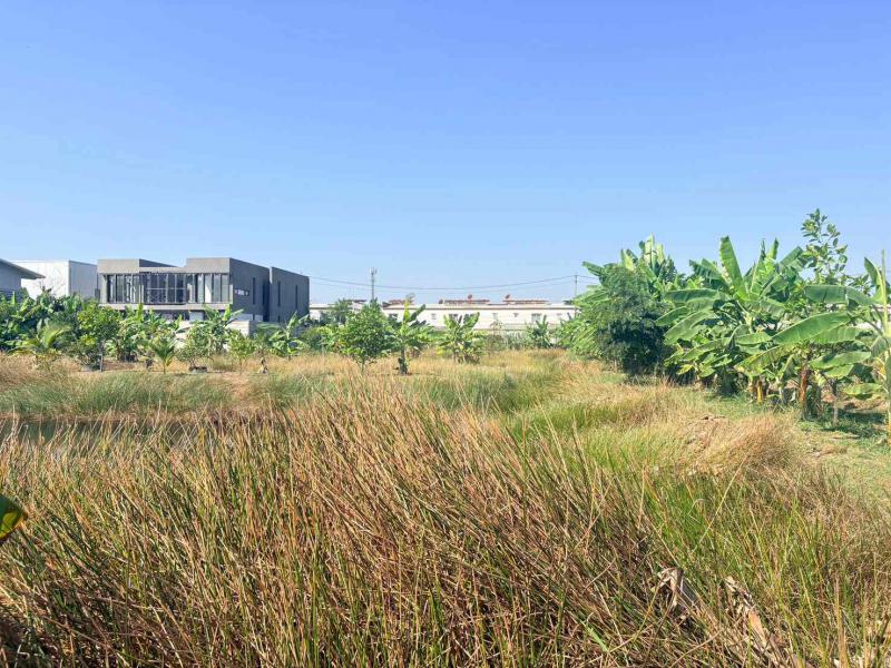 ที่ดิน 55875000 กรุงเทพมหานคร เขตดอนเมือง สีกัน