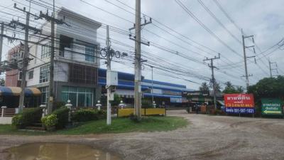 ที่ดิน 30000000 ราชบุรี โพธาราม บ้านสิงห์