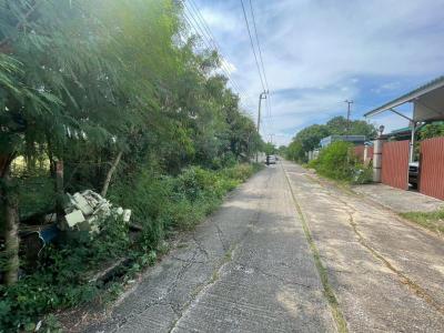 ที่ดิน 800000 กรุงเทพมหานคร เขตหนองจอก คลองสิบ