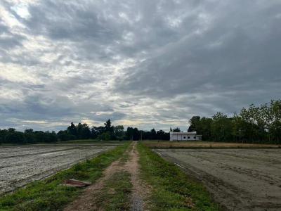 ที่ดิน 1880000 เชียงใหม่ สารภี ชมภู