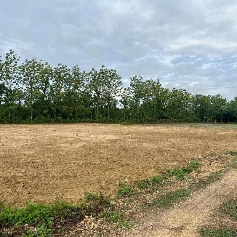 ที่ดิน 1880000 เชียงใหม่ สารภี ชมภู