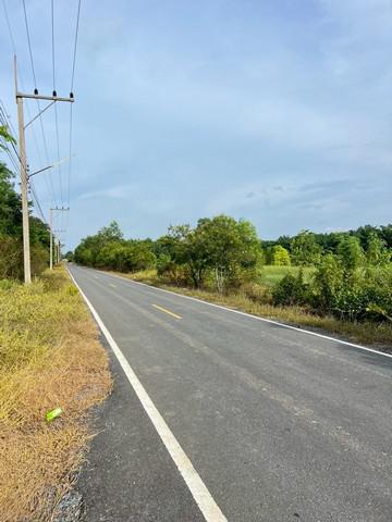 ที่ดิน 700000 ปทุมธานี หนองเสือ บึงชำอ้อ