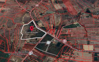 ที่ดิน 8800000 หนองคาย เมืองหนองคาย สองห้อง