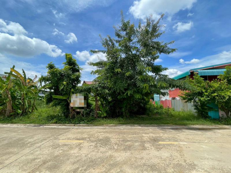 ที่ดิน 4200000 ปทุมธานี ลำลูกกา ลาดสวาย