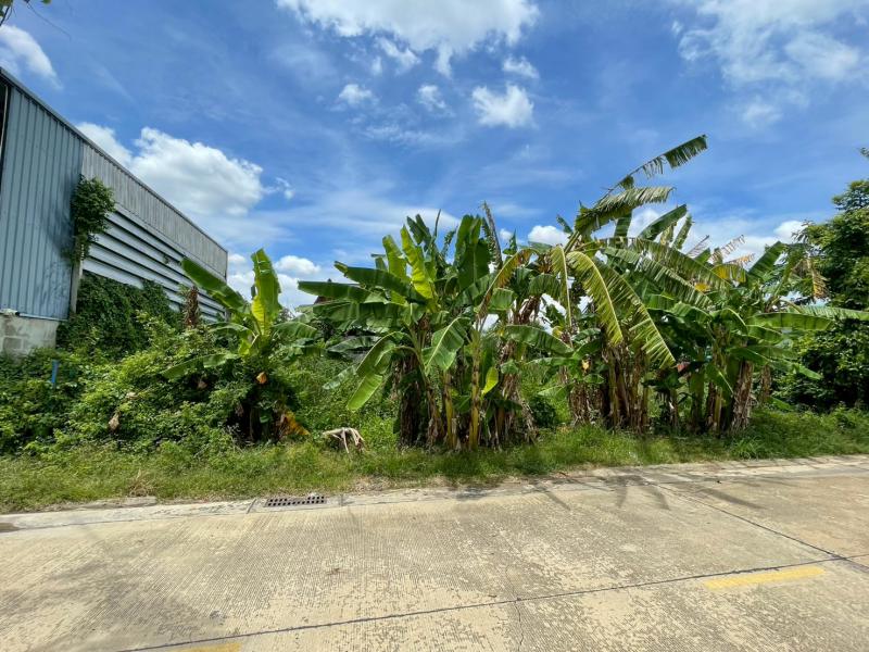 ที่ดิน 4200000 ปทุมธานี ลำลูกกา ลาดสวาย