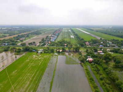 ที่ดิน 580000 สระบุรี หนองแค หนองโรง