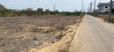 ที่ดิน -2 สมุทรปราการ บางบ่อ บางเพรียง