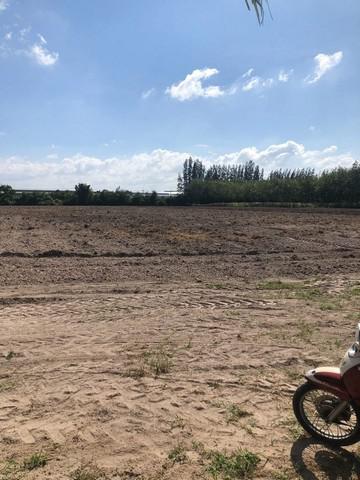 ที่ดิน 75000000 ชลบุรี บ้านบึง บ้านบึง