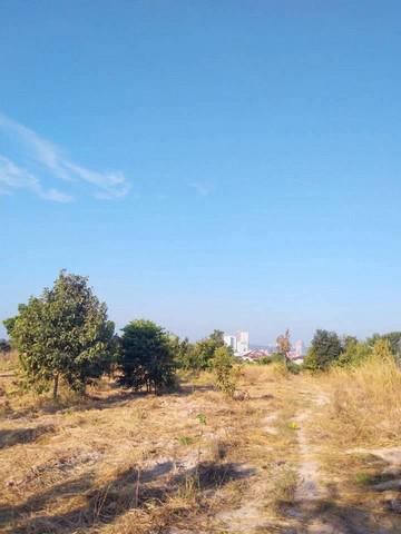 ที่ดิน 119979000 ชลบุรี บางละมุง หนองปรือ