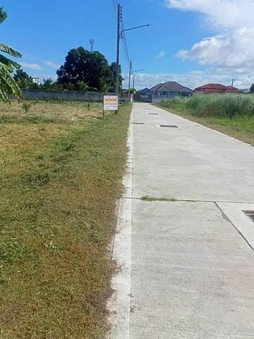 ที่ดิน 14000000 ชลบุรี บางละมุง หนองปรือ