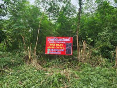 ที่ดิน 1300000 ปทุมธานี คลองหลวง คลองสาม