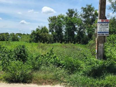 ที่ดิน 1000000 ปทุมธานี คลองหลวง คลองสาม