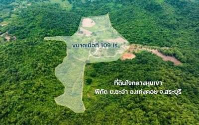 ที่ดิน 270000 สระบุรี แก่งคอย ชะอม