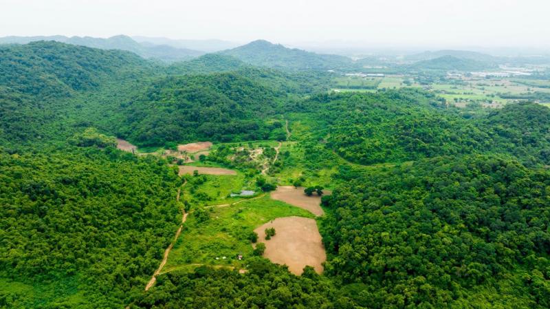 ที่ดิน 270000 สระบุรี แก่งคอย ชะอม