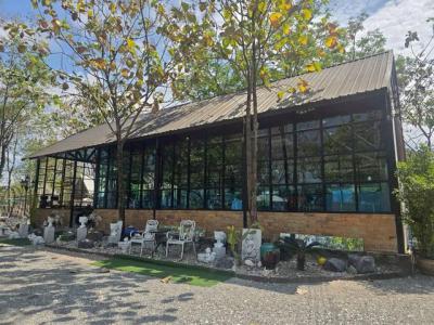 ที่ดิน 54000000 ชลบุรี พานทอง มาบโป่ง