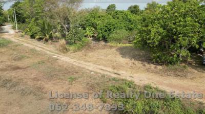 ที่ดิน 2800000 ปราจีนบุรี เมืองปราจีนบุรี ดงขี้เหล็ก