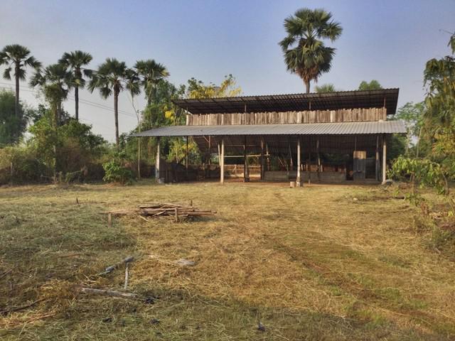 บ้านเดี่ยว 500000 ลำปาง  