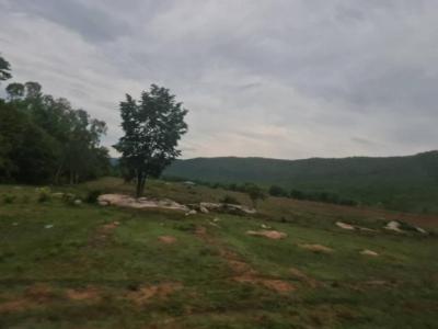 ที่ดิน 300000 ขอนแก่น สีชมพู นาจาน