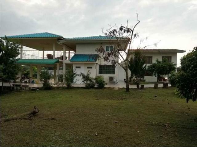 บ้านเดี่ยว 3800000 เชียงใหม่ พร้าว แม่แวน