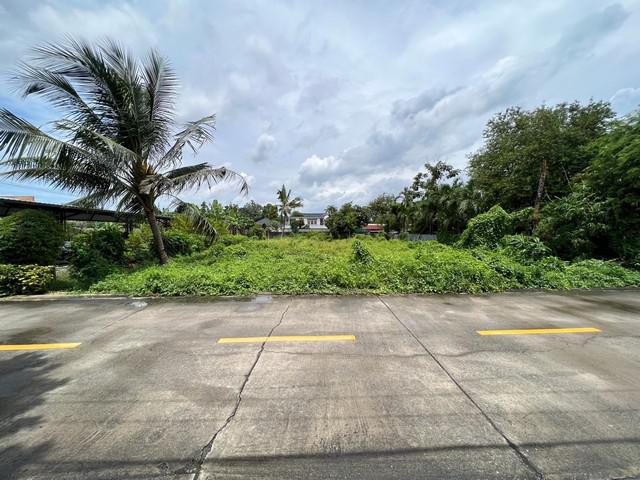 ที่ดิน 15225000 นนทบุรี เมืองนนทบุรี ท่าทราย