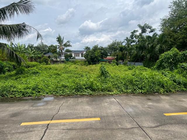 ที่ดิน 15225000 นนทบุรี เมืองนนทบุรี ท่าทราย