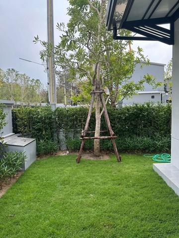 บ้านเดี่ยว 30000 ระยอง เมืองระยอง ทับมา