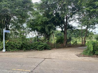 ที่ดิน 53500000 จันทบุรี เมืองจันทบุรี ท่าช้าง