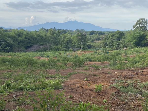 ที่ดิน 53500000 จันทบุรี เมืองจันทบุรี ท่าช้าง