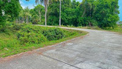 ที่ดิน 3500000 ประจวบคีรีขันธ์ บางสะพานน้อย ทรายทอง