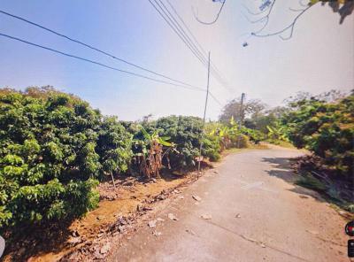 ที่ดิน 3500000 เชียงใหม่ สันป่าตอง บ้านกลาง