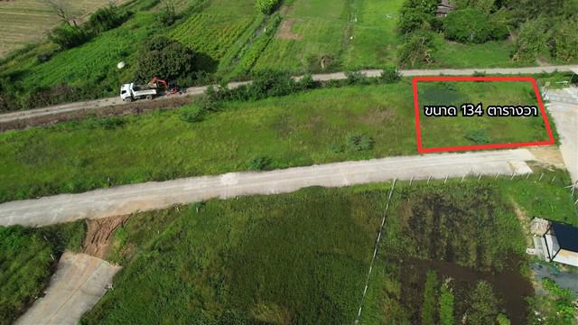 ที่ดิน 3149000 เชียงใหม่ เมืองเชียงใหม่ สันผีเสื้อ