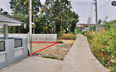 ที่ดิน 499000 เชียงใหม่ สันป่าตอง ยุหว่า