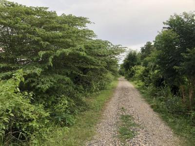 ที่ดิน 300000 ขอนแก่น สีชมพู นาจาน