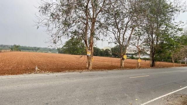 ที่ดิน 560920000 นครราชสีมา เมืองนครราชสีมา หนองบัวศาลา