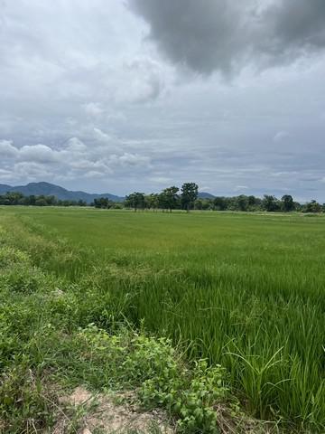 ที่ดิน 200000 สุโขทัย เมืองสุโขทัย เมืองเก่า
