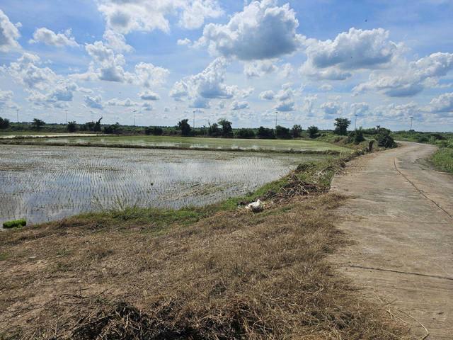 ที่ดิน 780000 พระนครศรีอยุธยา บ้านแพรก สำพะเนียง