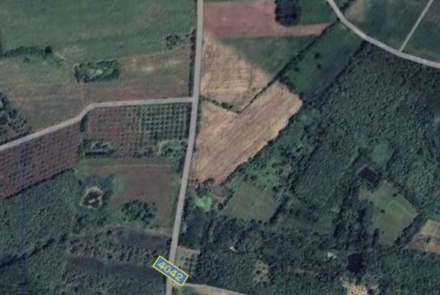 ที่ดิน 5500000 เพชรบูรณ์ เมืองเพชรบูรณ์ นาป่า