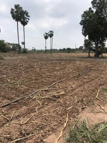 ที่ดิน 300000 นครสวรรค์ ชุมแสง โคกหม้อ