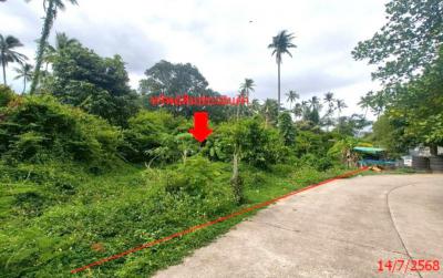 ที่ดิน 10900000 สุราษฎร์ธานี เกาะสมุย ลิปะน้อย