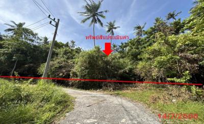 ที่ดิน 17770000 สุราษฎร์ธานี เกาะสมุย ตลิ่งงาม