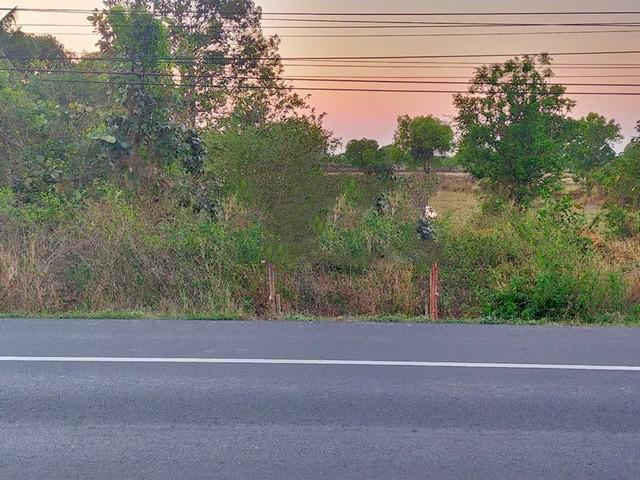 ที่ดิน 3500000 สุรินทร์ เมืองสุรินทร์ ตั้งใจ