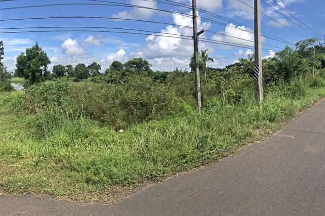 ที่ดิน 3500000 สุรินทร์ เมืองสุรินทร์ ตั้งใจ