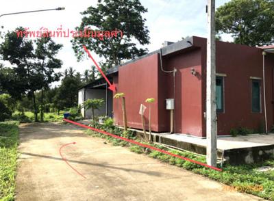 บ้านเดี่ยว 3950000 สุราษฎร์ธานี เกาะสมุย แม่น้ำ