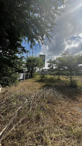 ที่ดิน 5525000 สระบุรี เมืองสระบุรี ดาวเรือง