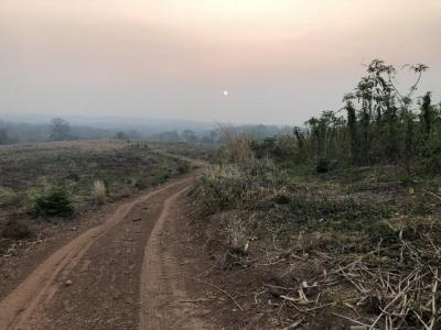 ที่ดิน 250000 เพชรบูรณ์ หล่มเก่า หล่มเก่า