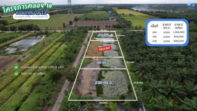 ที่ดิน 2500000 ปทุมธานี หนองเสือ บึงบอน